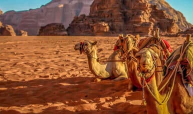 Debit Card Car Hire In Jordan Now Available!